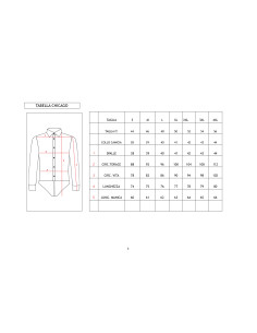 CAMICIA CHICAGO/NEW 2